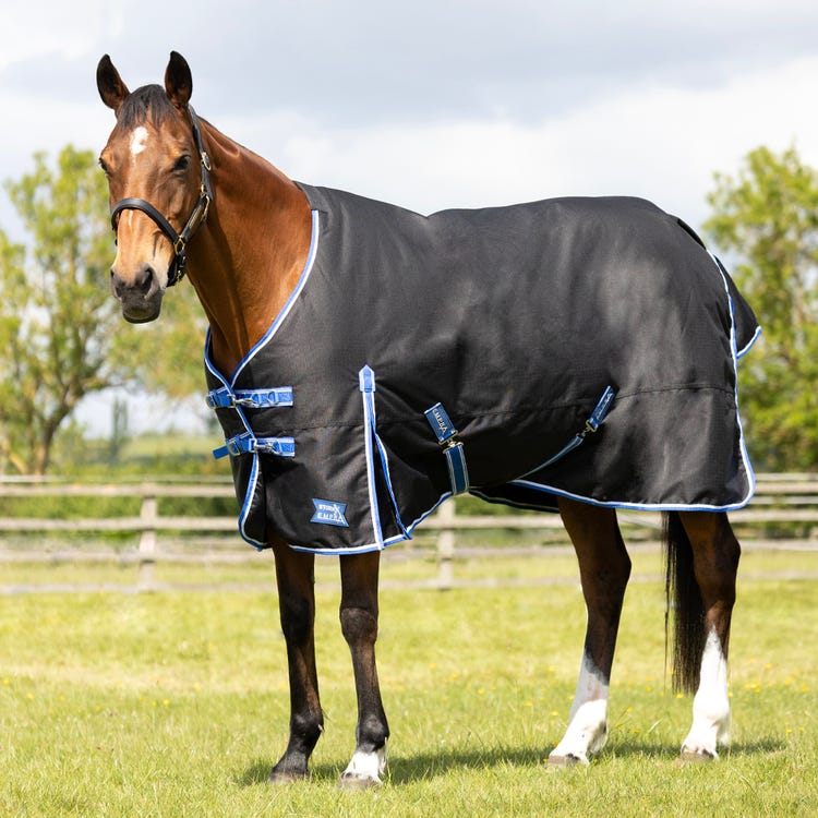 StormX Empra Extra 100g Turnout Rug image 2
